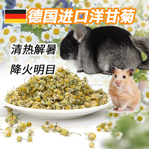 仓鼠龙猫德国洋甘菊花干清热解暑降火去火零食金丝熊豚鼠粮食零食