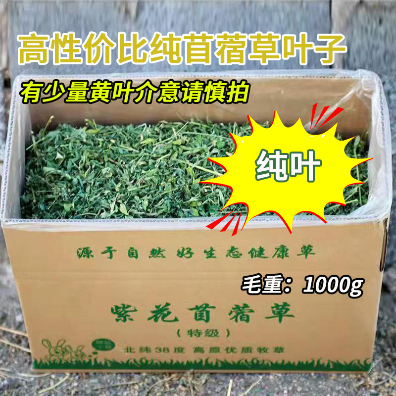 纯紫花苜蓿草叶子烘干苜蓿草嫩尖叶兔子干草龙猫豚鼠羊牧草