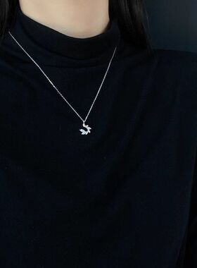 款秋冬项链代发女夏轻麦穗锁骨