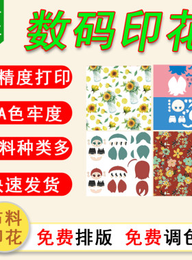 广州中大数码印花定制布毕设面料