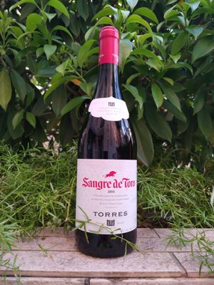 桃乐丝公牛血红葡萄酒Torres Sangre de toro catalunya wine