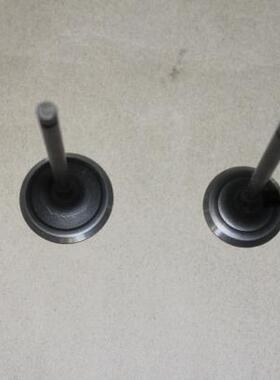 全地行车沙滩车林海LH 400ATV UTV 发动机进排气门