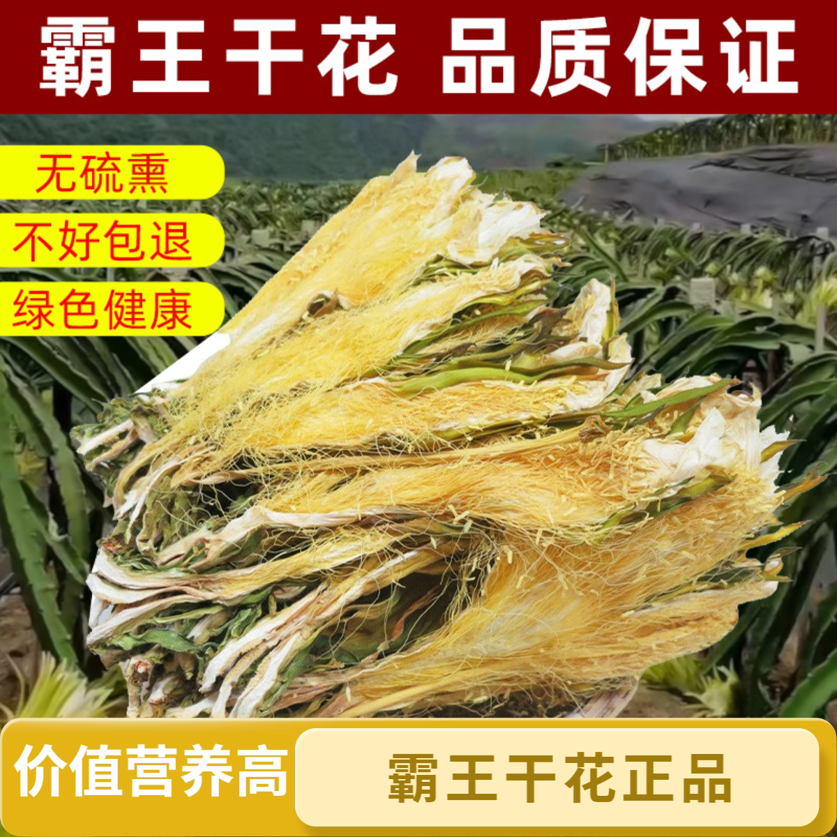 霸王花剑花广东无硫无干燥剂