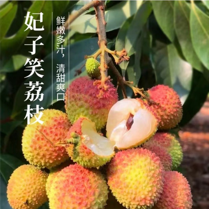 2026正宗增城妃子笑荔枝超甜大果水果当季现摘整箱孕妇水果礼品包