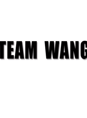 TEAMWANG汽车贴纸个性防水