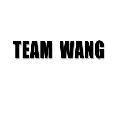 TEAMWANG汽车贴纸个性防水