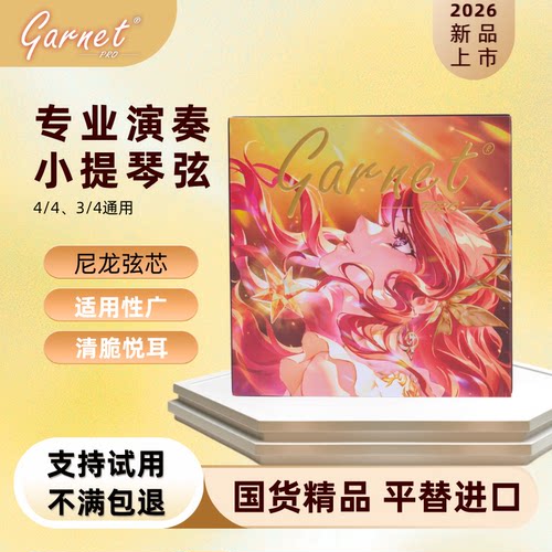 爱小提专业演奏独奏小提琴尼龙弦