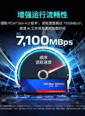 WD西部数据4T M.2接口笔记本电脑游戏SSD固态硬盘SN5100  PCle4x4