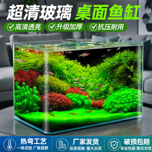 高清观赏视觉！亚峰热弯生态缸