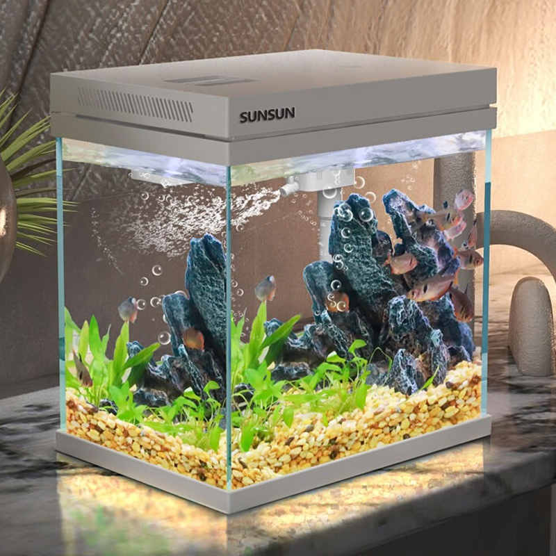 森森一体免换水超白缸高清观感