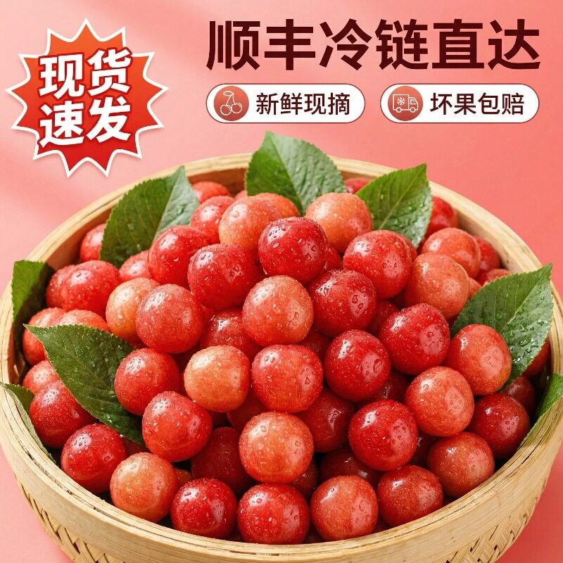 【顺丰现货】空运四川小樱桃现攀枝花米易小樱桃孕妇水果农家特产