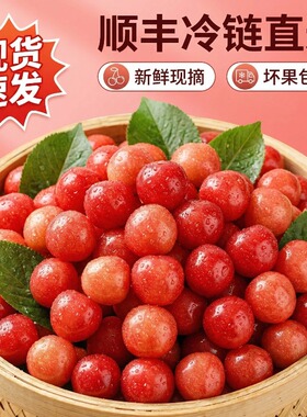 【顺丰现货】空运四川小樱桃现攀枝花米易小樱桃孕妇水果农家特产