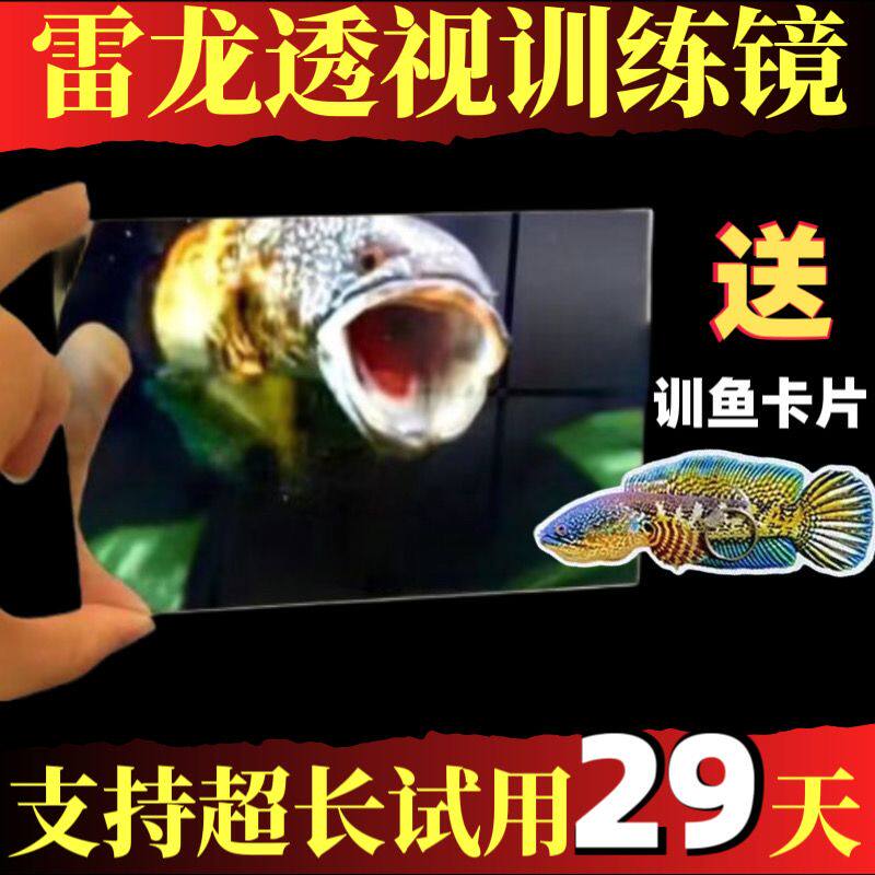 雷龙鱼训练工具鼓腮咬缸透视单面镜子双面透明镜子逗鱼镜斗鱼训练