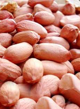 天津特产老城里 十三香现炒果仁五香花生米 老味果仁多味果仁500g