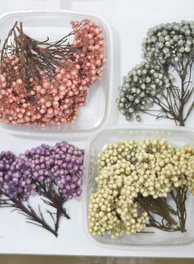 米花干花头短枝手工材料浮油花材