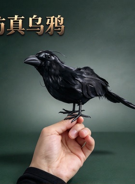 仿真乌鸦圣诞摆件万圣节道具派对用品家居装饰道具羽毛鸟卡通动物