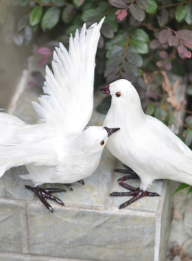 高仿真和平鸽信鸽白鸽婚庆商场创意装饰鸽子模型真实羽毛制作展翅