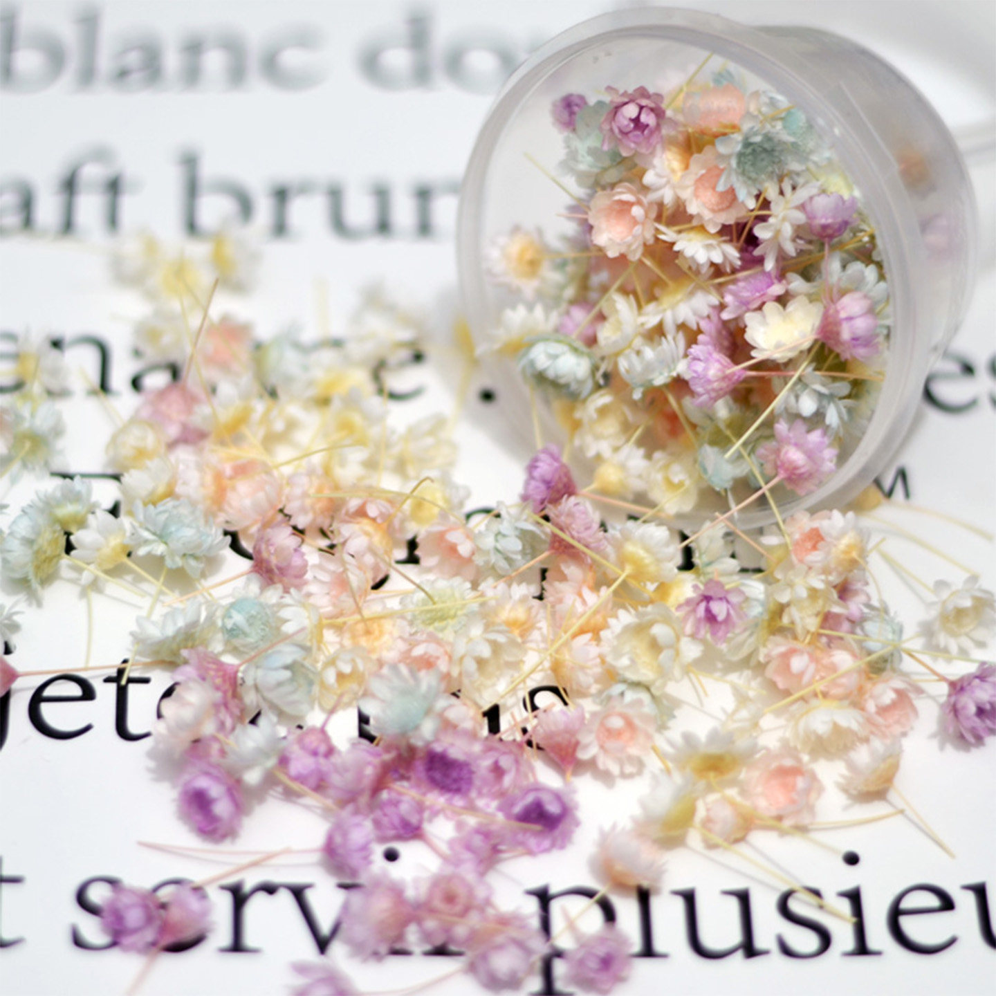 马卡龙浅色巴西星菊干花包无杆花头小星花雏菊浮游手工材花材料包,家居饰品,干花/花瓣/干花包/干树枝,淘宝优惠券,粉丝福利购,淘宝优惠卷