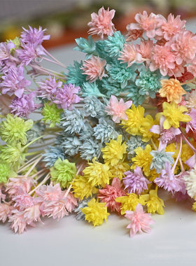 巴西小山花干花包戒指手工花材料