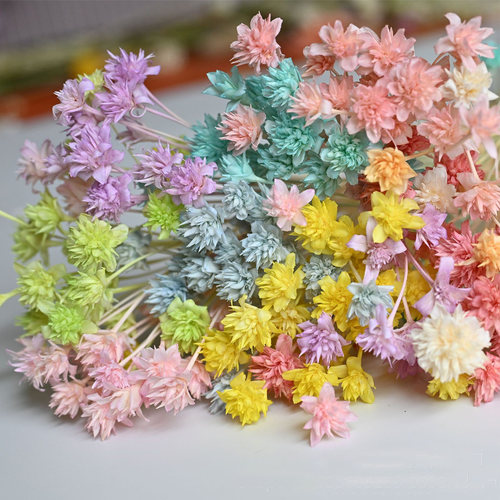 巴西小山花干花包戒指手工花材料