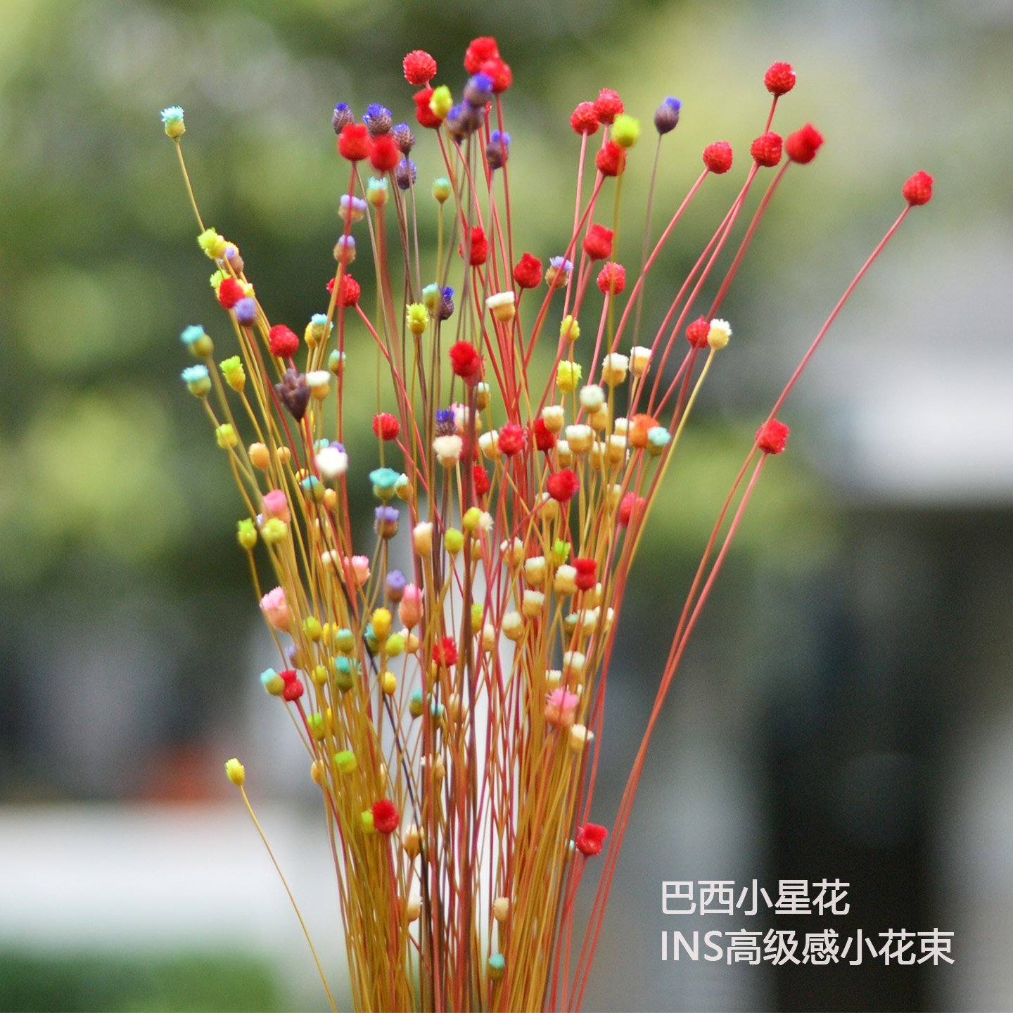 快乐花干花包菠萝头混搭花束钻石小山花思绪花文艺小清新桌面装饰,家居饰品,干花/花瓣/干花包/干树枝,淘宝优惠券,粉丝福利购,淘宝优惠卷