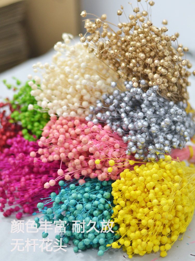 短枝相思豆花头干花包富贵豆永生花混搭束手工玻璃罩配配花材料包