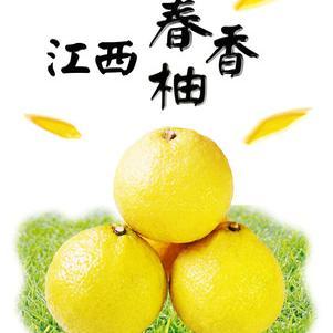 春香柚南昌进贤七里农场现摘柚子鲜嫩纯甜黄金贡柑礼盒精装包邮