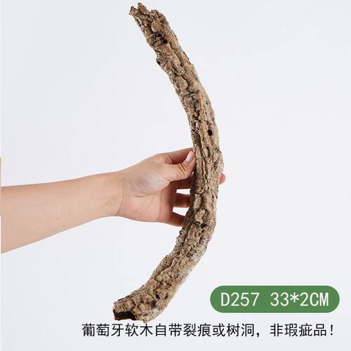 【青氧】葡萄牙软木雨林缸造景附生植物爬宠攀爬躲避屋孤品-D257