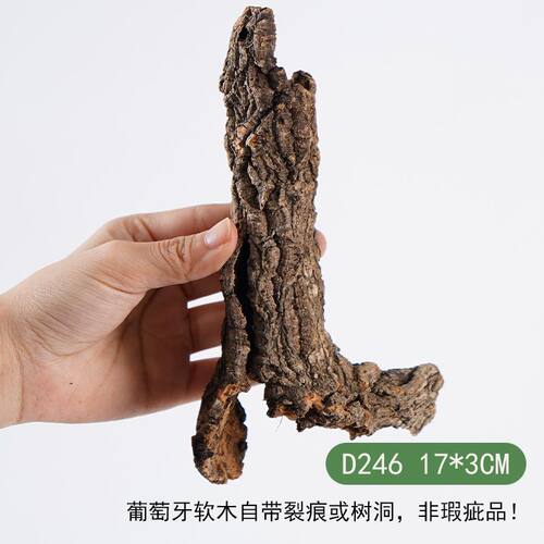 【青氧】葡萄牙软木雨林缸造景附生植物爬宠攀爬躲避屋孤品-D246