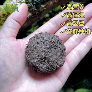 青氧立面土造景材料包微景观黏土袋装保湿苔藓附生植物泥巴土垫材