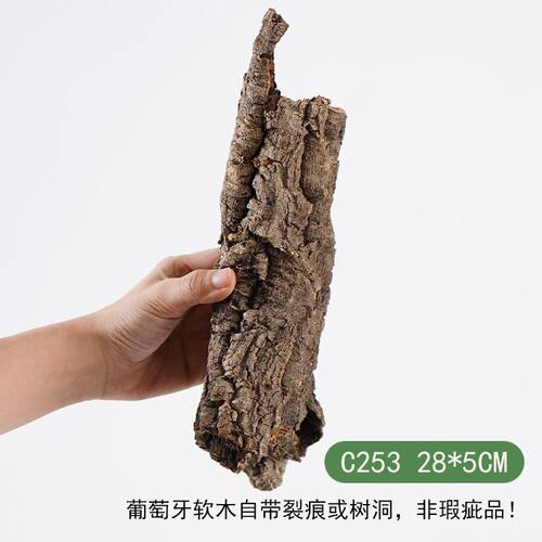 【青氧】葡萄牙软木雨林缸造景附生植物爬宠攀爬躲避屋孤品-C253