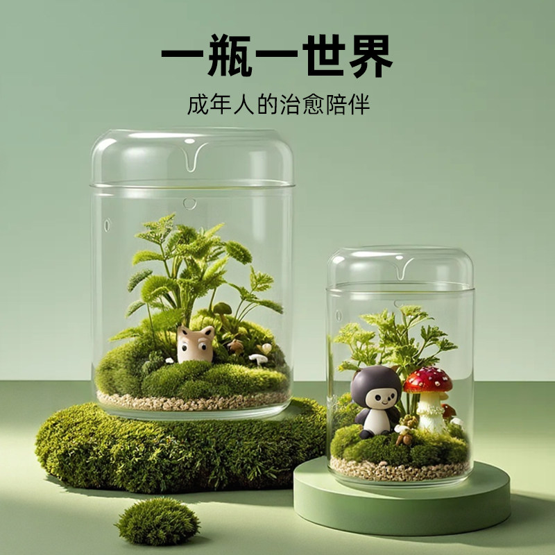 【青氧】微景观露集杯苔藓闷养办公室桌面创意生态玻璃瓶diy造景
