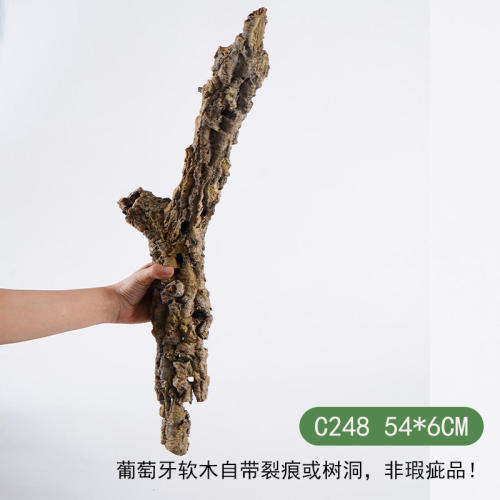 【青氧】天然葡萄牙软木雨林缸原生造景爬宠攀爬躲避屋孤品-C248