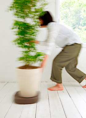万向轮花盆托盘Tidy日本进口家用移动底盘圆形盆栽垫盘带轮子底座