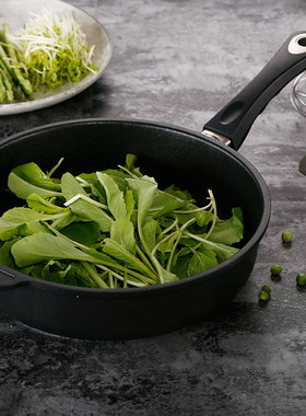 利快德国进口Li kuai单柄炒锅煎锅无油烟欧式不粘锅鱼锅电磁炉通