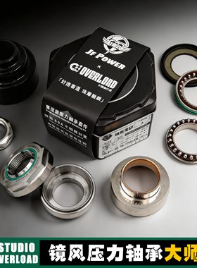 镜风电研压力轴承赛道大师版小牛NX/FX九号300P/M5极核AE4电动车