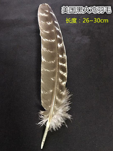 2025美国黑火鸡羽毛 青铜大羽毛 清理燃烧鼠尾草引导代表风元素