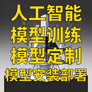 人工智能大ai模型微调模型训练模型定制模型本地部署模型开发