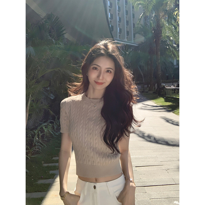 麻花短袖针织衫女短款打底上衣