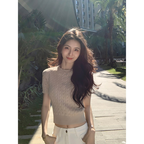 麻花短袖针织衫女短款打底上衣