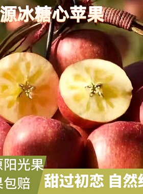 正宗汉源冰糖心苹果瑞雪新鲜水果当季整箱四川高山大凉山丑红富士