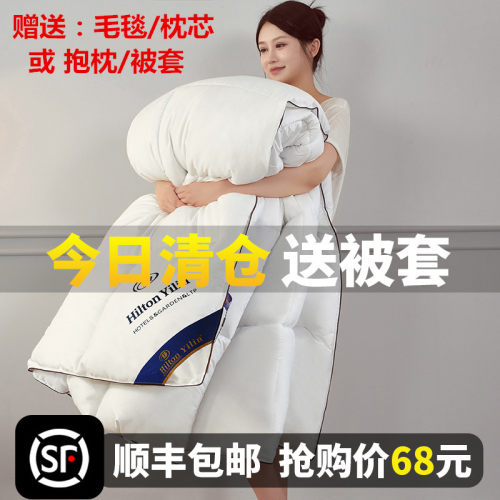 白鹅绒春秋羽绒被全棉加厚被芯