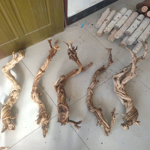 原生态爬宠造景木霸王藤枯木热带鬃狮蜥蜴守宫睫角蛇攀爬造型树桩