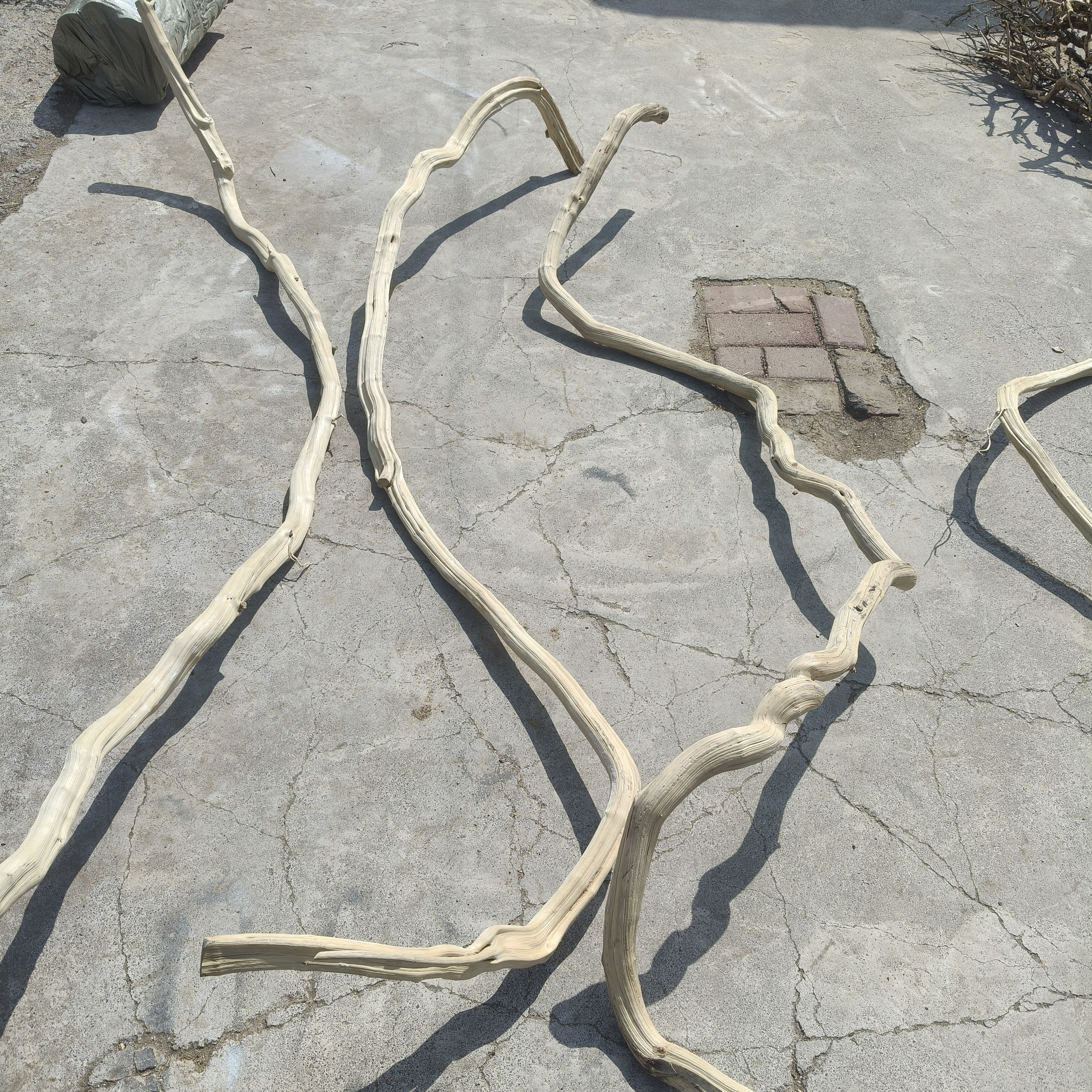 麻花腾枯藤藤条藤蔓花艺装饰材料橱窗造景天然弯曲藤蔓