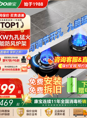 康宝QB339灶具燃气灶天然气双灶家用定时大火力双边定时灶