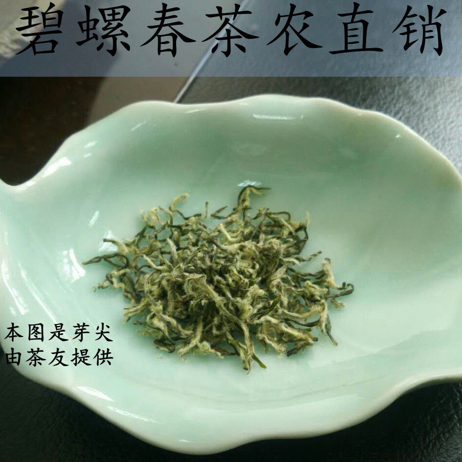 苏州东山茶明前头采洞庭山碧螺春一级新茶叶绿茶农苏城一叶