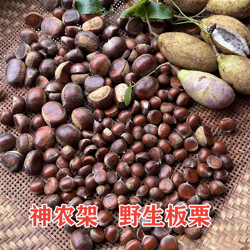 神农架野生小板栗毛栗生板栗甘栗新鲜板栗/板栗仁