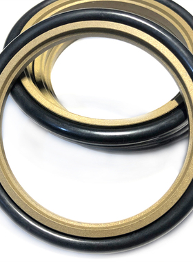 斯特封GSR/STd170*185.5*191/175*190.5/180*195.5 *201*6.3*8.1