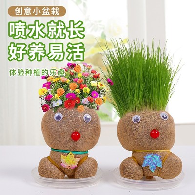 盆栽diy材料包草头娃娃