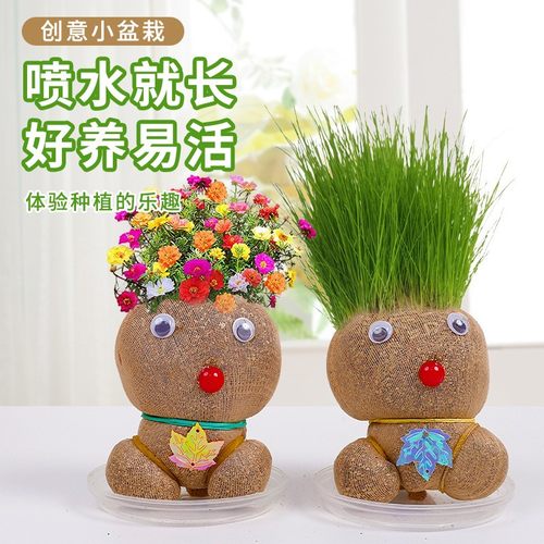 盆栽diy材料包草头娃娃